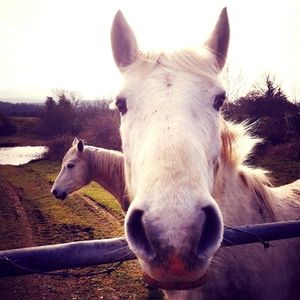 Jeanie_Mac